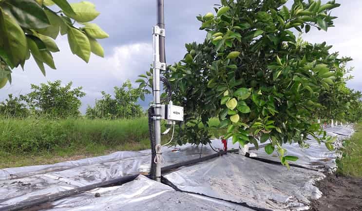 ModpoW desenvolupa un sistema de monitoratge basat en el ‘Big Data’ per optimitzar l’ús de l’aigua en l’agricultura 
