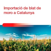 Importació de blat de moro a Catalunya