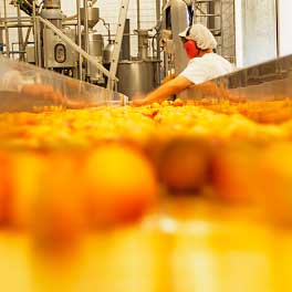 L’alimentació a l’Índia, tota una indústria a processar