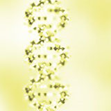 Connecta amb l'ecosistema de la salut digital de Massachussets