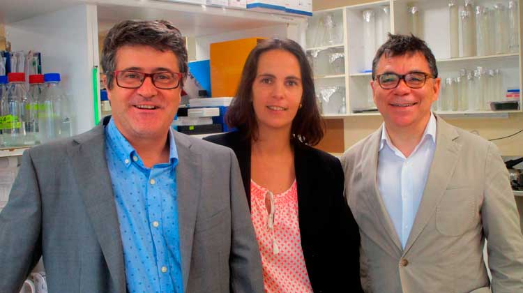 Xenopat: com seleccionar la millor teràpia per a cada pacient de càncer