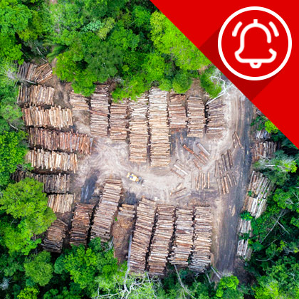 Alerta de comerç internacional