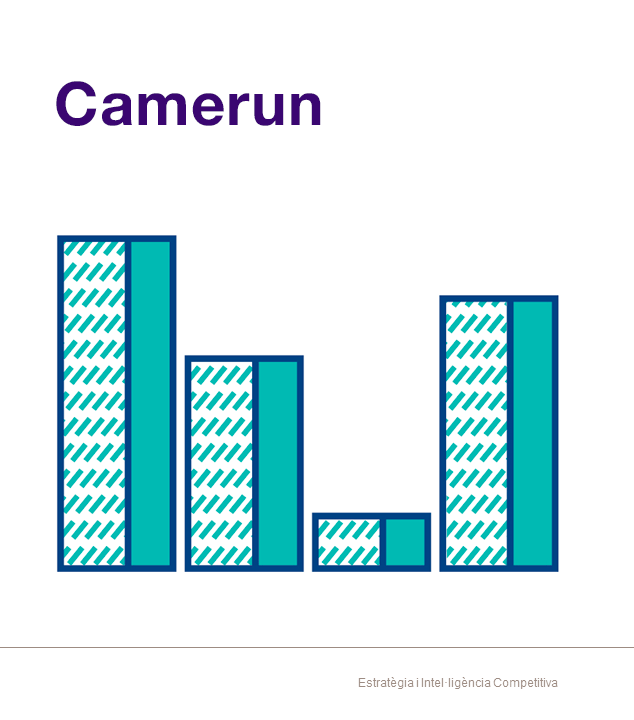 Nota Econòmica Camerun