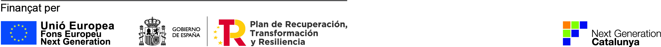 finançament Next Generation