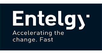 ENTELGY CONSULTING, SA: Solucions per al teletreball