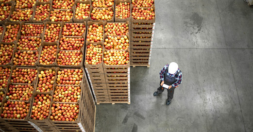 Alimentació i aranzels: del repte a l’oportunitat als Estats Units, Canadà i Brasil