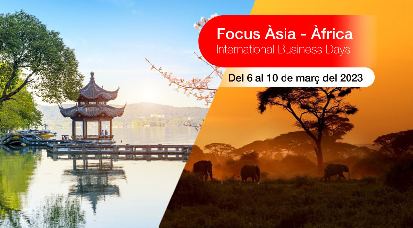 Focus Asia