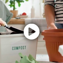 Pack2Earth, compost food packaging at home