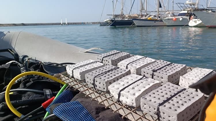 L’empresa catalana Ocean Ecostructures crea un biomaterial innovador per regenerar els ecosistemes marins