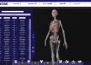 L’empresa catalana Biorem desenvolupa una plataforma de realitat virtual per visualitzar solucions de bioimpressió d’òrgans i teixits sobre el cos humà