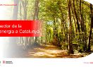 El sector de la bioenergia a Catalunya ja agrupa 365 empreses que facturen 872 milions d’euros