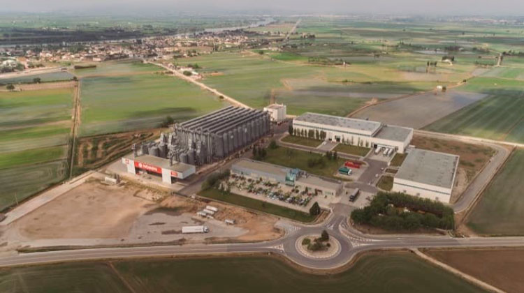 L’empresa Nomen Foods desenvolupa un nou tipus d’arròs germinat amb alt contingut de GABA, un àcid beneficiós per al sistema nerviós