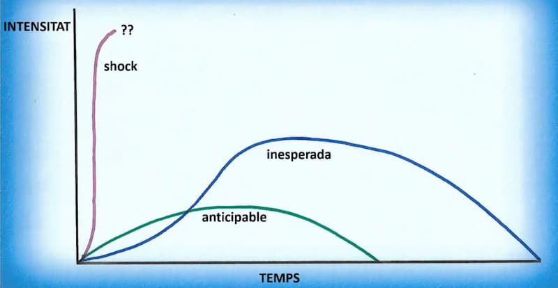 ACCIÓ - Tipologies de crisis