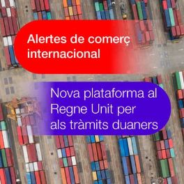 El Regne Unit estrena una nova plataforma per realitzar els tràmits duaners