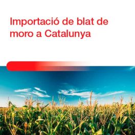 Com importar blat de moro a Catalunya durant el conflicte a Ucraïna