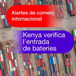 Kenya sol·licita la inspecció de les bateries de motocicletes i vehicles elèctrics importades al país