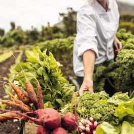 El sector agroalimentari a Catalunya