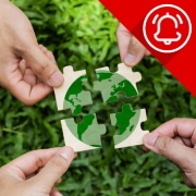 Alerta de comerç internacional