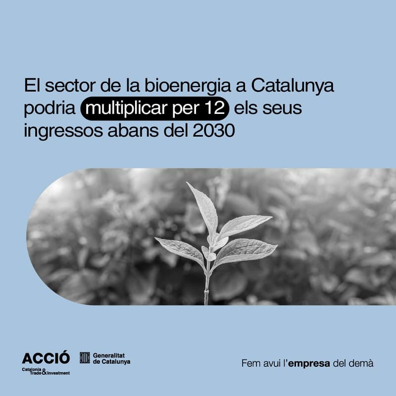 La bioenergia a Catalunya trancisió energètica - Infografia