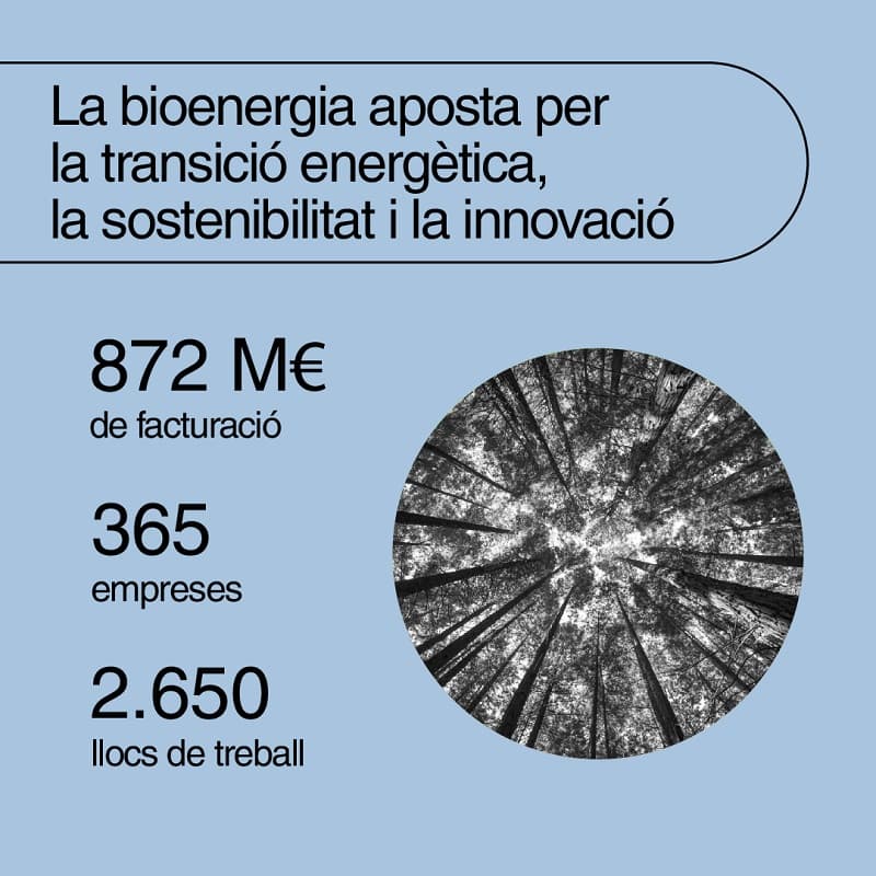 El sector de la bioenergia a Catalunya - Infografia