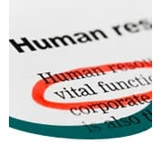 Com gestionar els recursos humans 2.0