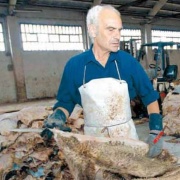 Instal·lacions d'adob de la pell de l'empresa Codina, a la seva factoria de Vic (Osona). Foto: Marta Pich