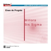 Millora Sis Sigma