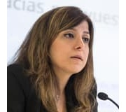 Oportunitats tecnològiques a l'Iran