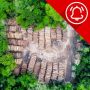 Alerta de comerç internacional