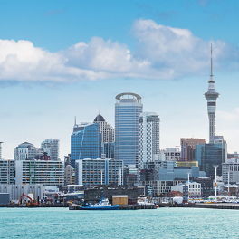 8 coses que has de saber per fer negocis a Nova Zelanda