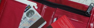 Pierdo o me roban la cartera