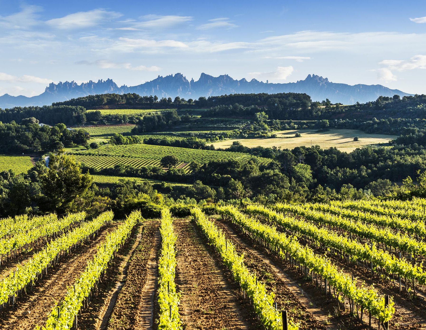 Berguedà des de l'aire