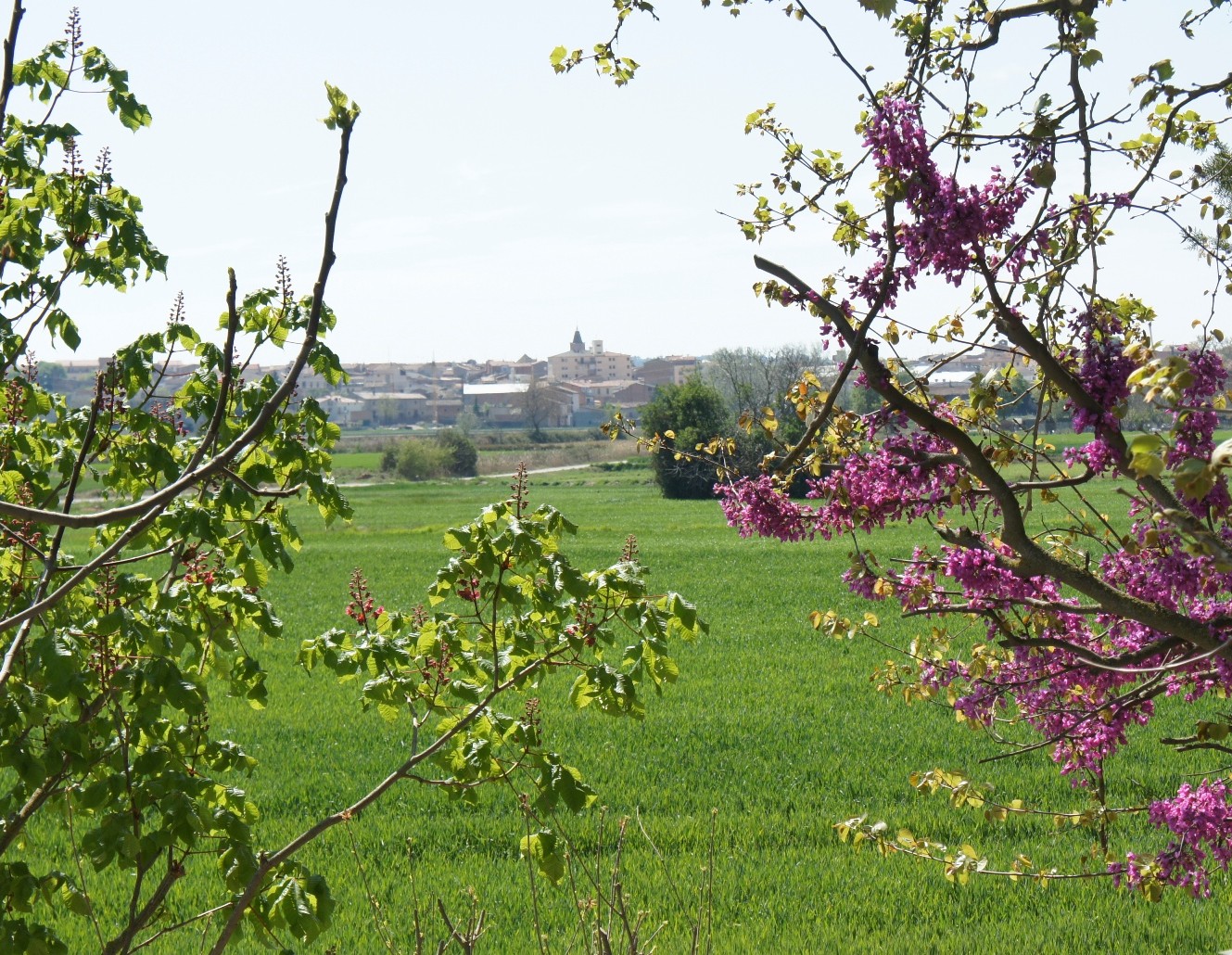 Berguedà des de l'aire