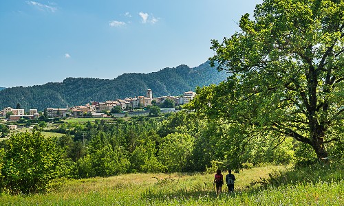 Berguedà des de l'aire