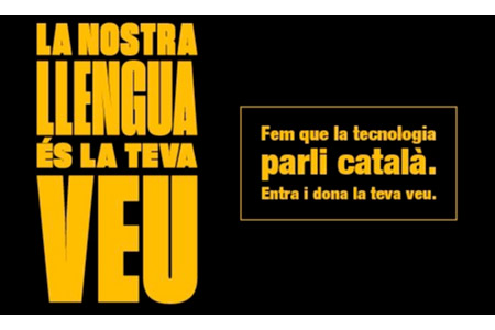 Cartell del projecte Aina